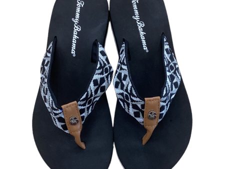 Sandals Flip Flops By Tommy Bahama  Size: 6 Fashion