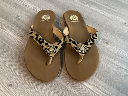 Sandals Flip Flops By Yellow Box  Size: 9 Supply