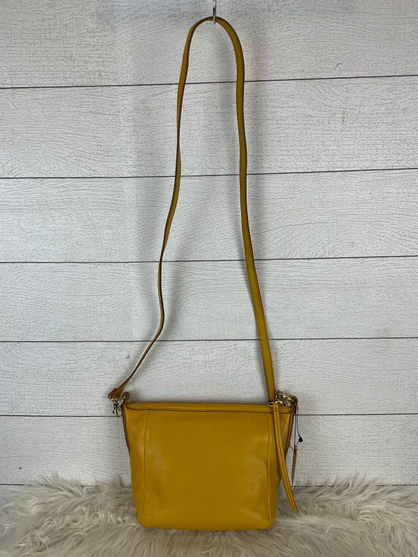 Crossbody Designer By Fossil  Size: Medium Sale